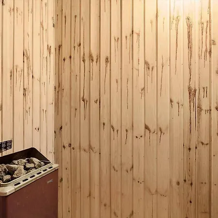 733-thisted-nordsovej-206-a Tatil Evi Thisted